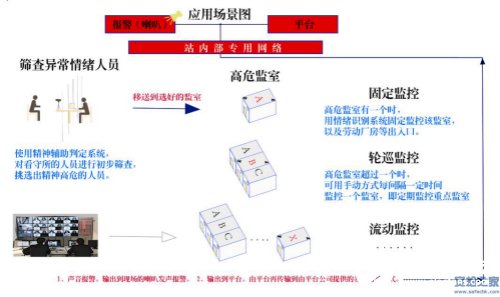 鼠标与染料溶解剂的区别,鼠标与染料溶解剂的区别及安全设计策略解析,灵活性方案解析_冒险版12.85.72