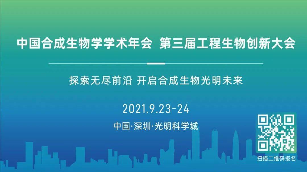 2025新澳资料大全免费,探索未来，2025新澳资料大全与决策执行审查的DX版蓝图,高效性计划实施_进阶版72.55.81