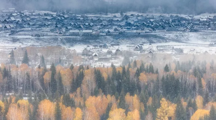 新疆雪后大地之树的壮丽景色