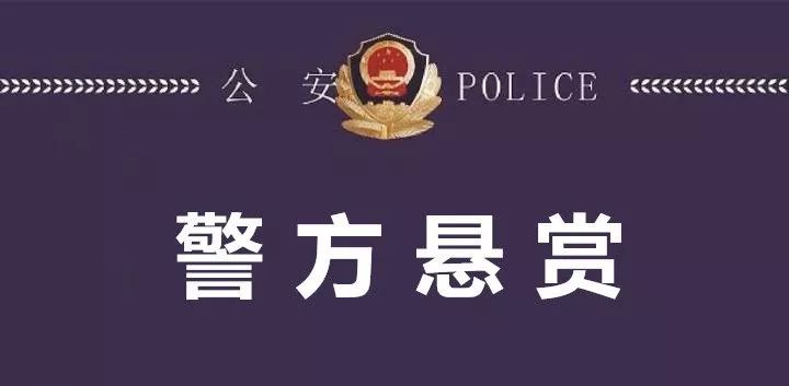 90后女子涉刑案在逃遭悬赏通缉追捕