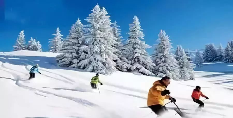 5岁儿童随舅舅滑野雪遭遇意外身亡