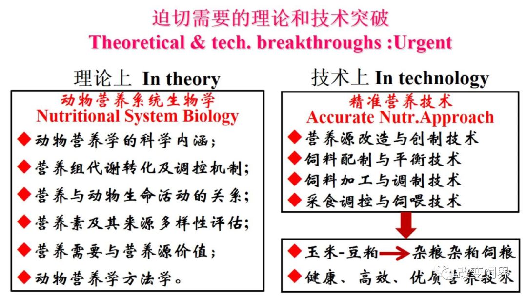 精准一肖100%准确精准的含义,高效策略设计_书版79.69.90