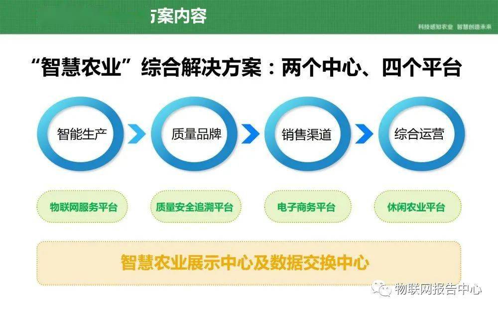 2025年1月18日 第4页