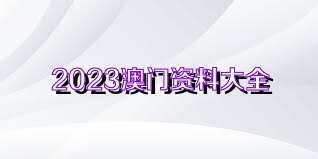 澳门六网站正版资料查询今天,实地考察数据分析_履版60.55.30