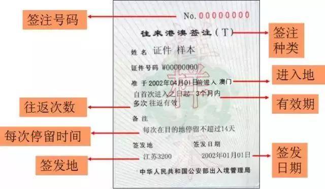 红姐澳门免费资料大全,可靠策略分析_XT25.43.50