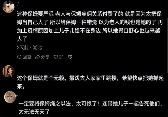 海口一老年公寓虐待老人？编的,全面数据分析方案_精简版20.24.62